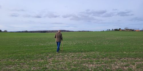 Omlægning til regenerativt landbrug